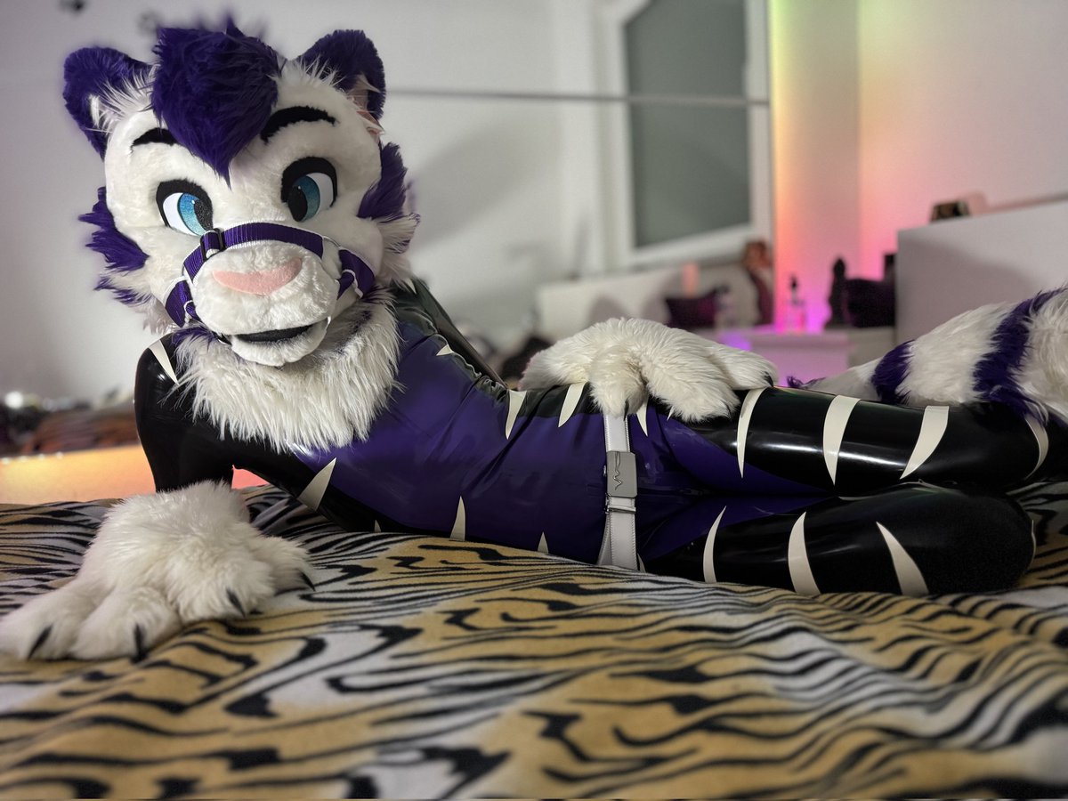 Rubber friday or #FursuitFriday ?