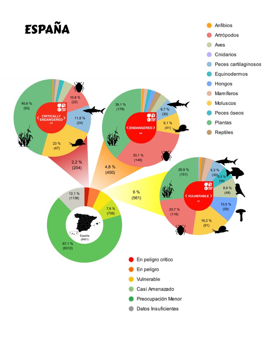 Ayer fue el Día Internacional de la Biodiversidad y los datos no pueden ser más claros: Canarias concentra más de la mitad de las especies en peligro crítico de extinción de toda España.

🔬 La ciencia es nuestra mejor aliada para proteger lo que solo existe aquí 🇮🇨