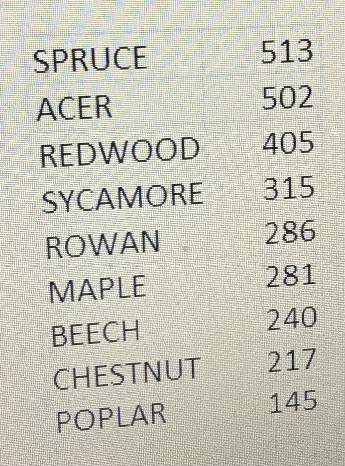 Congratulations to Spruce in KS1 and Sycamore in KS2 for winning the active minutes trophy🏆