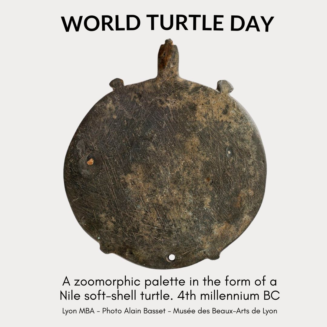 Ancient Egypt Alive! tweet media