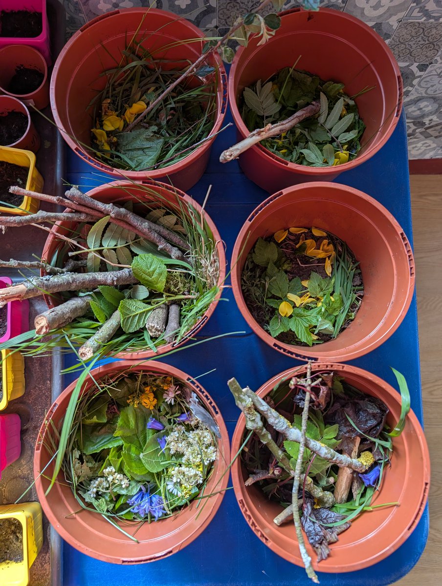 MrsSigurdsson's tweet photo. P2 planted seeds &amp; created minibeast pot homes as part of their Nature Reserve Garden idea. They checked packets to learn when they'd start to grow &amp; how tall. Lots of veg &amp; herb seeds were planted too. Thanks P5 who came to help us @DunipaceSTEM @_MissMcKechnie_ 🌳🌼🪱🪵🐌🌸🐛🌿 https://t.co/1gDqBvkF19