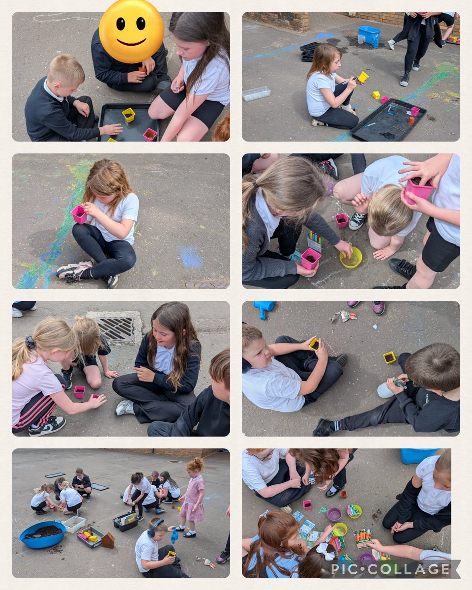 MrsSigurdsson's tweet photo. P2 planted seeds &amp; created minibeast pot homes as part of their Nature Reserve Garden idea. They checked packets to learn when they'd start to grow &amp; how tall. Lots of veg &amp; herb seeds were planted too. Thanks P5 who came to help us @DunipaceSTEM @_MissMcKechnie_ 🌳🌼🪱🪵🐌🌸🐛🌿 https://t.co/1gDqBvkF19