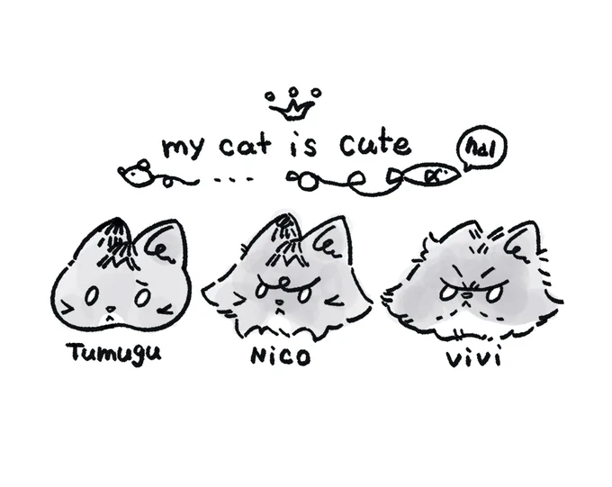 愛猫 