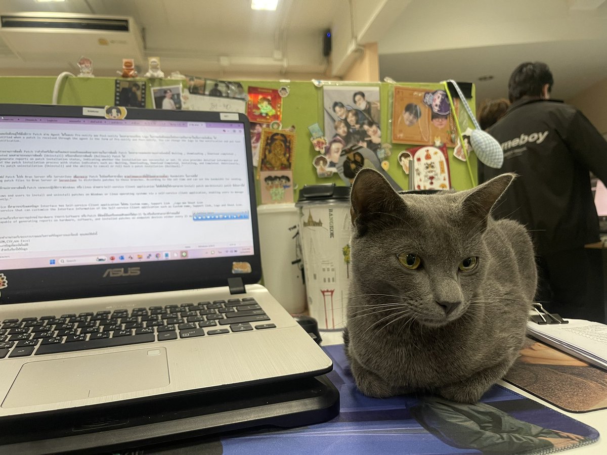 ออฟฟิศ เรามีจุดเติมแมวนะคะ <a href="/PimchalitaWang/">🔆Pimcha Mindset</a>