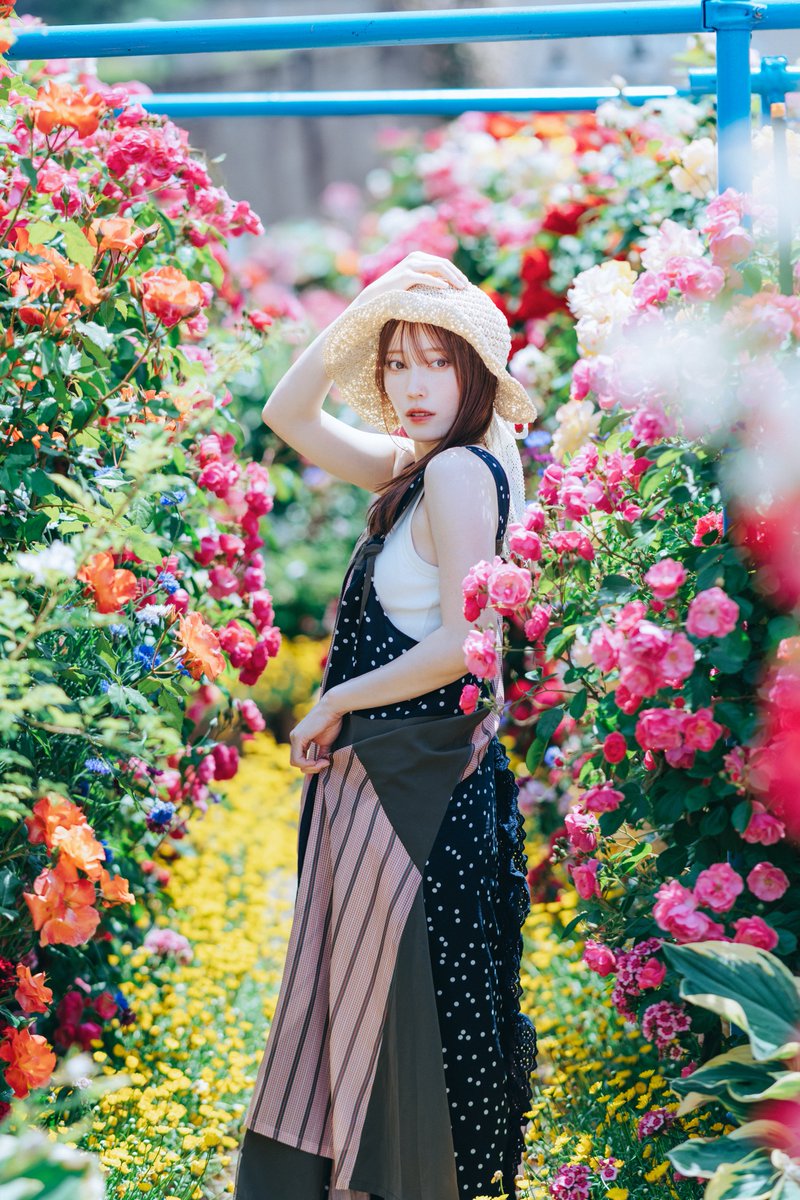 kj_ptr's tweet image. .
君は薔薇色…