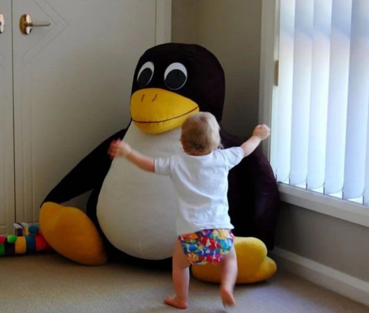 MaunaLinux tweet picture