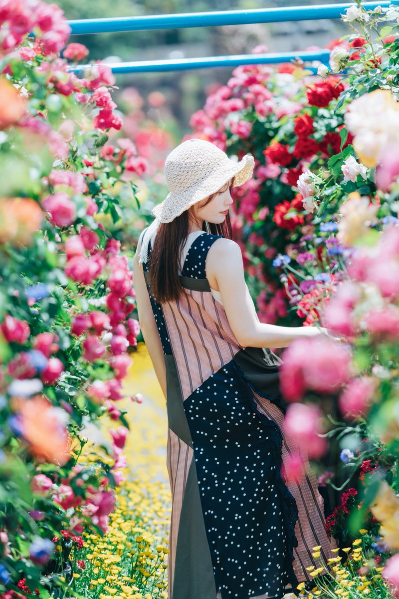 kj_ptr's tweet image. .
君は薔薇色…