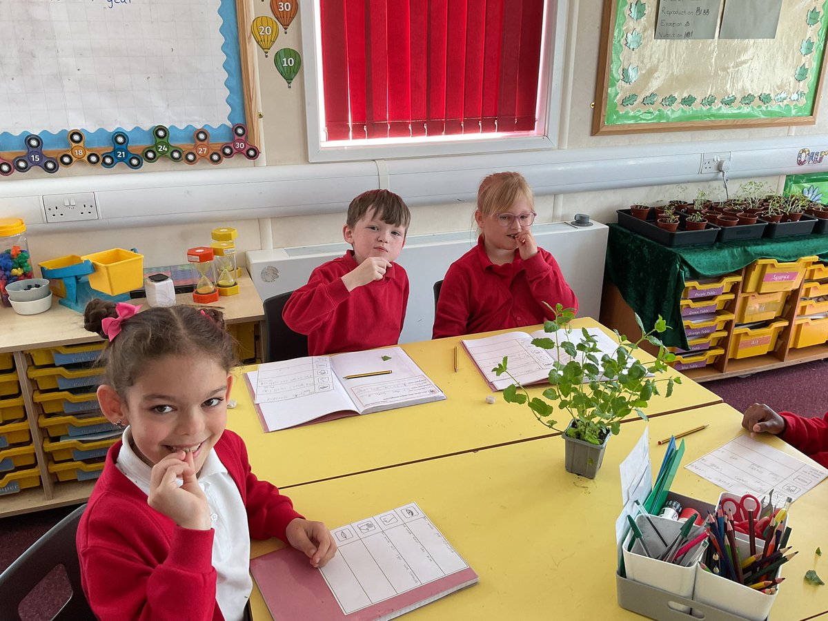 Miss Burgen (@burgenmiss) on Twitter photo We had a great science lesson today using our senses to identify herbs. Some of the children loved the taste but others were not so keen. Well done to all the children for having a taste though. <a href="/BoothferryPS/">Boothferry Primary #weareBoothferry</a> <a href="/MissLinklater/">Miss Linklater</a> We had a great science lesson today using our senses to identify herbs. Some of the children loved the taste but others were not so keen. Well done to all the children for having a taste though. <a href="/BoothferryPS/">Boothferry Primary #weareBoothferry</a> <a href="/MissLinklater/">Miss Linklater</a>