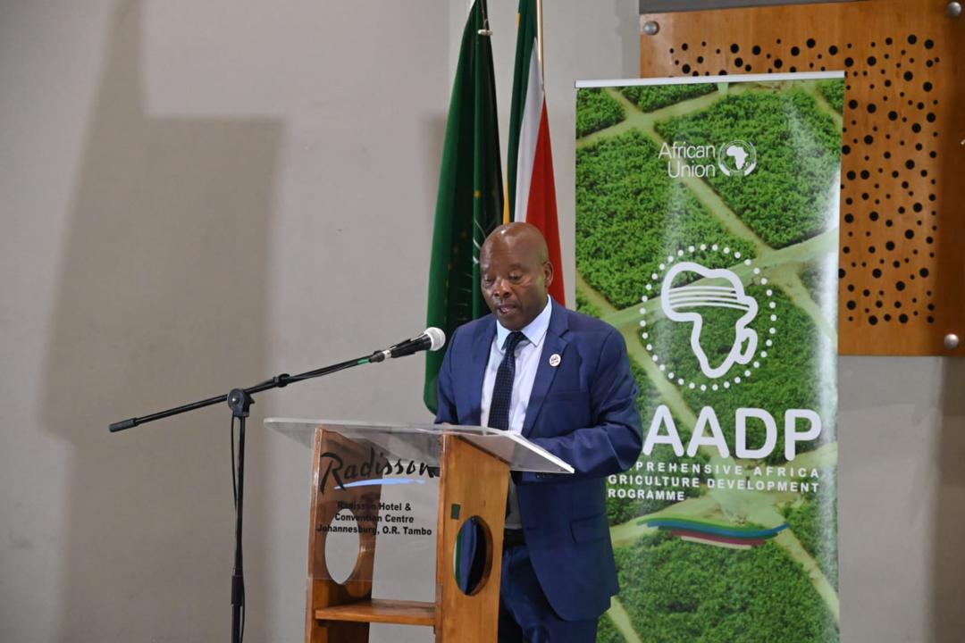 AUC CAADP tweet media