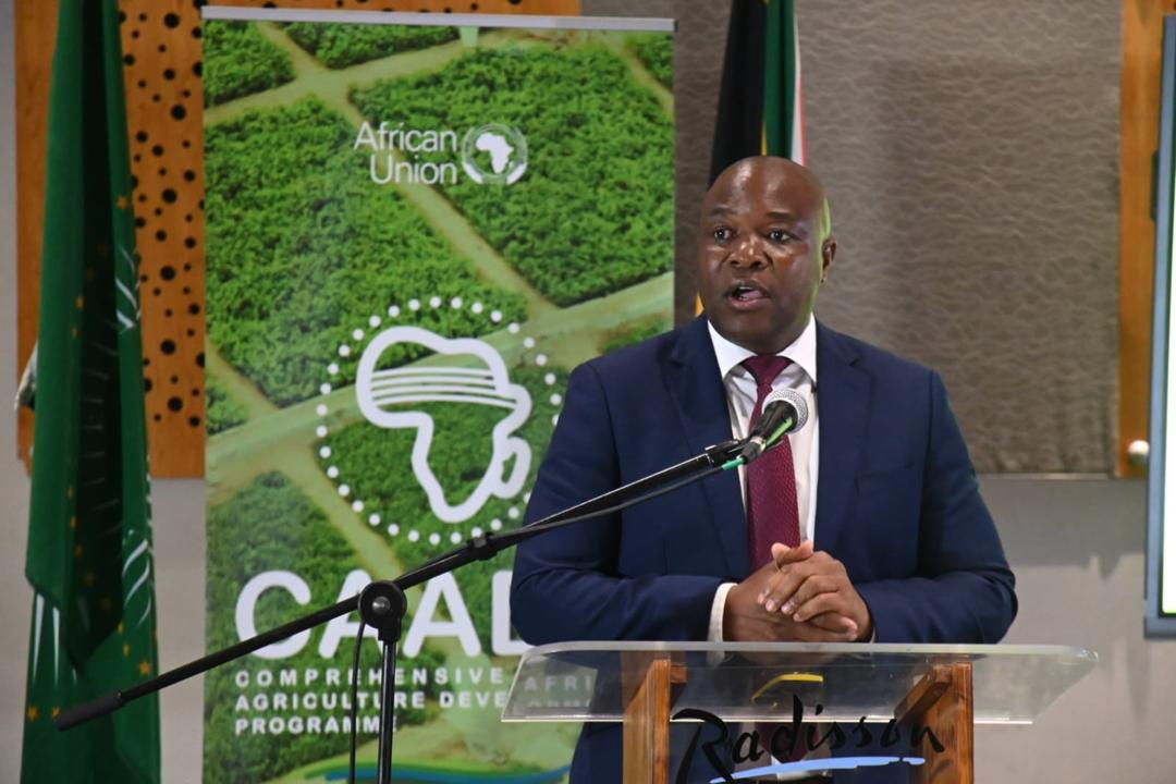 AUC CAADP tweet media