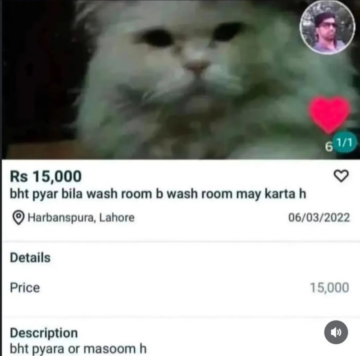 atang_waddi's tweet photo. Boht pyara aur masoom 🥰 https://t.co/cSCxOtuflu