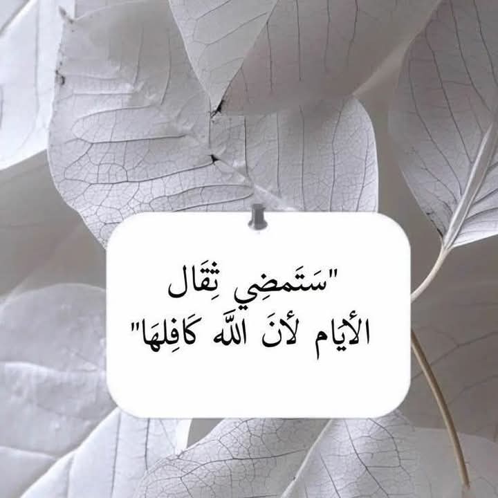 amine_ariane's tweet photo. "بداخلي يقين قاطع، أن كل أقدار الله التي كتبها لي خيراً وإن جهلت حكمته فيها ،فإني راضٍ تمام الرضا عنها ، وأترقب بعين الرضا لطفه الخفي بين طيتها" 

#زبرجد_حرف
#وهجُ_الحياة
#يخبرني_الصباح
#حروف_وقهوة
#رباب_الكلم https://t.co/wDGj3DpLMs