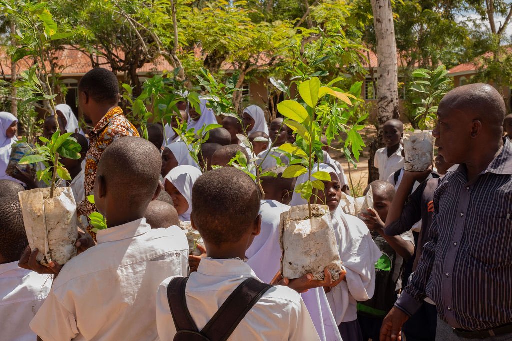gerf_tz's tweet photo. Yesterday, we launched Edu Green Project 2025 at Mkenge Primary School in Bagamoyo, a key step in our environmental conservation efforts. With @artintanzania, @atawas, and @tanzania_forest, we celebrated with community activities, tree planting and the formation of Mali Hai Club. https://t.co/pHOdGaEQKa