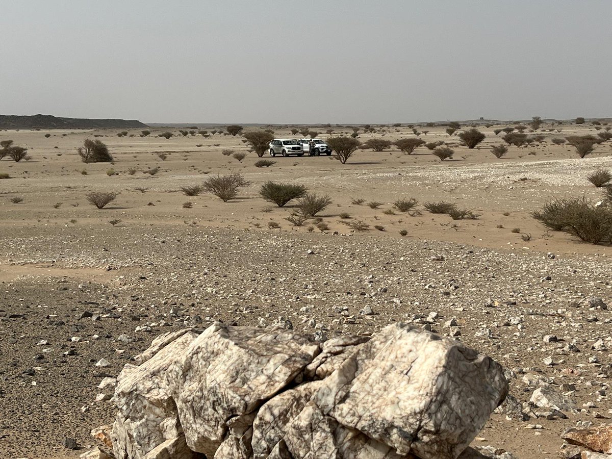 Power Metal Resources tweet media