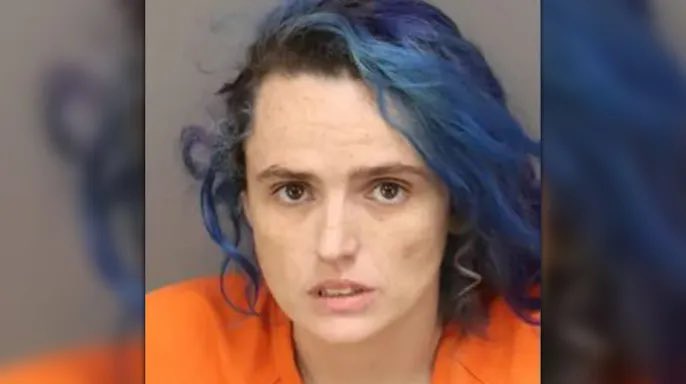 Election Wizard tweet media