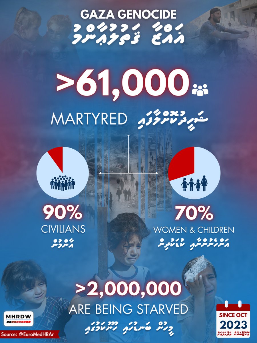 Maldives Human Rights & Detainee Watch tweet media