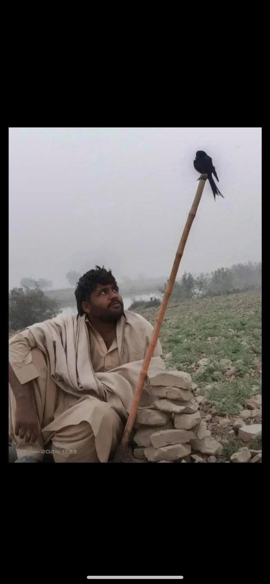 Paras Sheikh #nomorecanalonindus tweet media