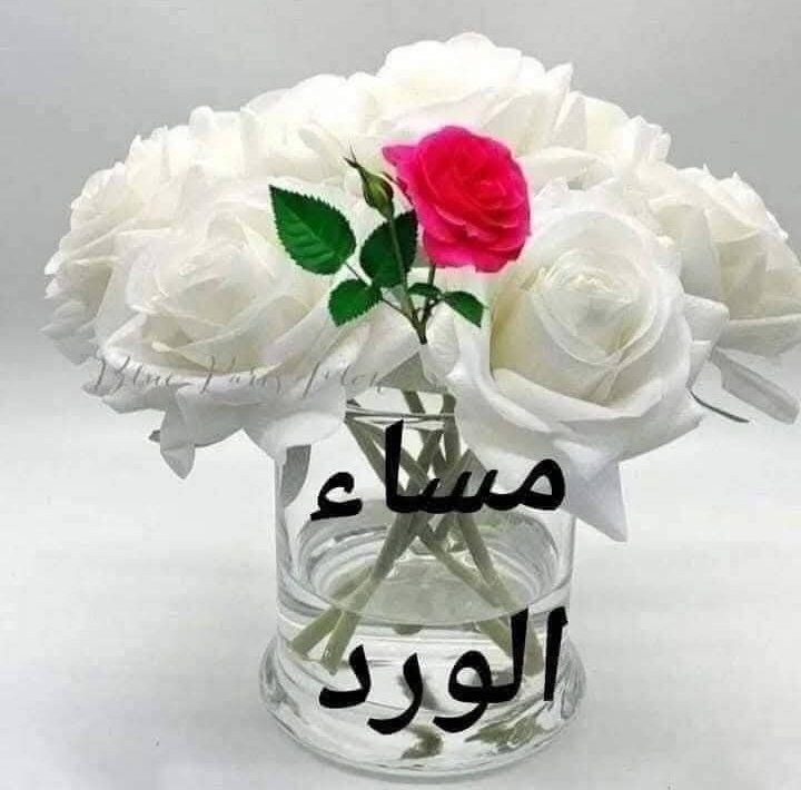 محمد ديب يعقوب tweet media
