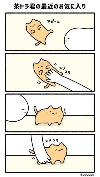 茶トラ君の最近のお気に入り 