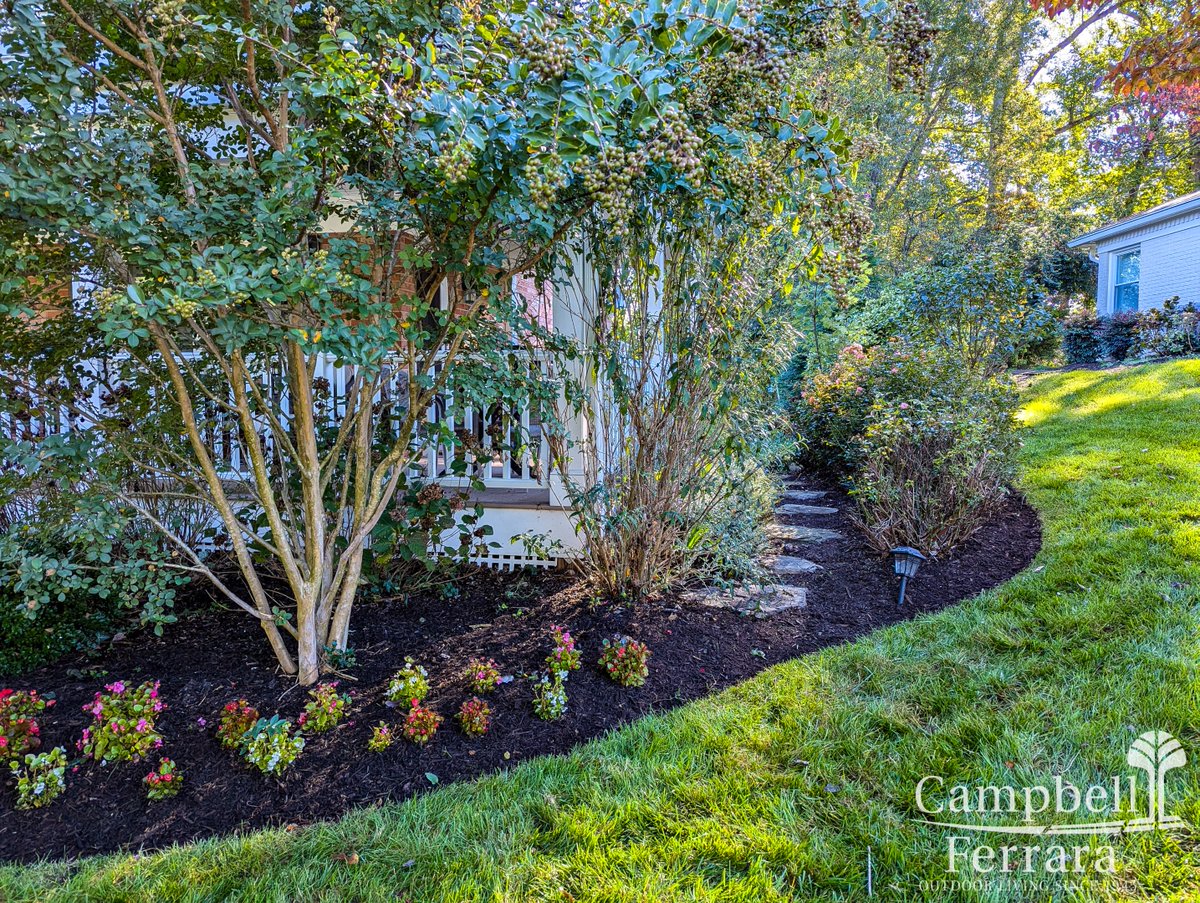 CampbellFerrara's tweet image. Featured Project - 4 Seasons Landscape:

Consider redesigning your beds for a cleaner, more colorful, and diverse landscape. View the entire transformation of this property on our website under featured projects.

campbellferrara.com/featured/four-…

#hardscapedesign #transformations