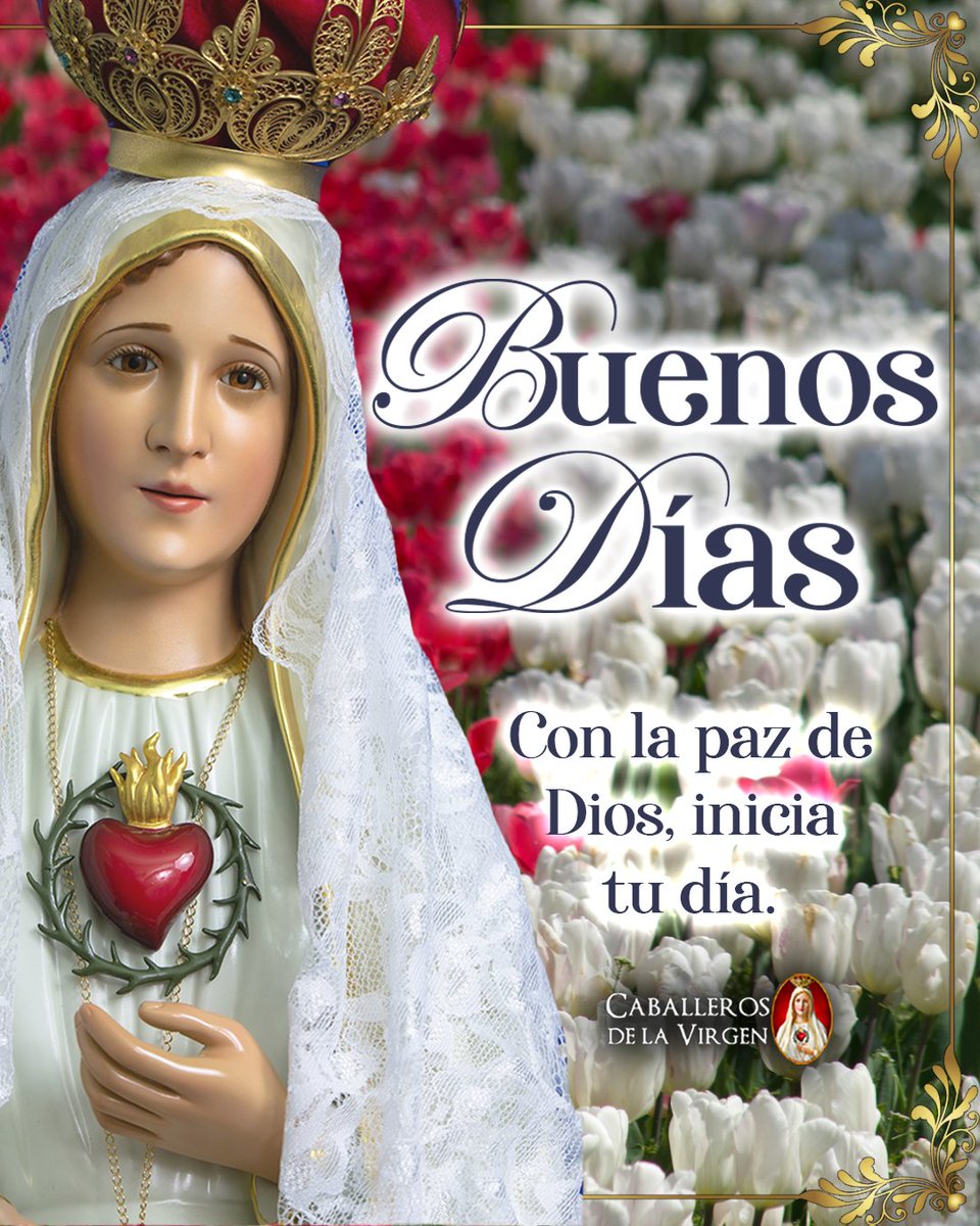 Cab_Virgen's tweet photo. Amanece y contigo renace mi esperanza. Toma mi mano en este día que comienza, ilumina mi mente, fortalece mi corazón y guíame hacia la voluntad de Dios. Que en cada paso sienta tu presencia, y en cada prueba, tu consuelo maternal. Amén. https://t.co/AQjw2msU0Q