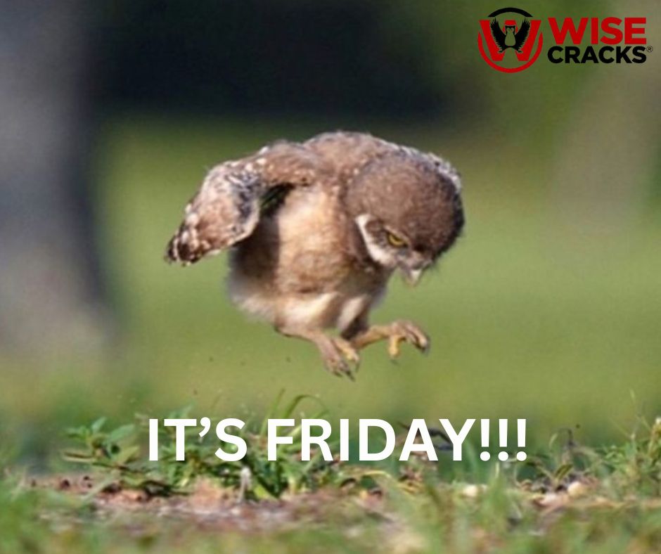 Wise Cracks (@wisecrackscom) on Twitter photo 