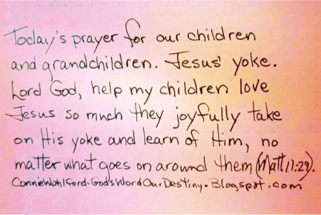 wohlford_connie's tweet photo. Today for our #children and #grandchildren: Jesus' yoke. 

#takeMyYoke #LoveJesus #LearnOfMe #joy #GodsWordOurDestiny #joyfully #yoke #nomatterwhat #whatgoeson #takeit #learn  #takeHisYoke #help #today https://t.co/exXzjjnuoM https://t.co/CAZLKLy6N5