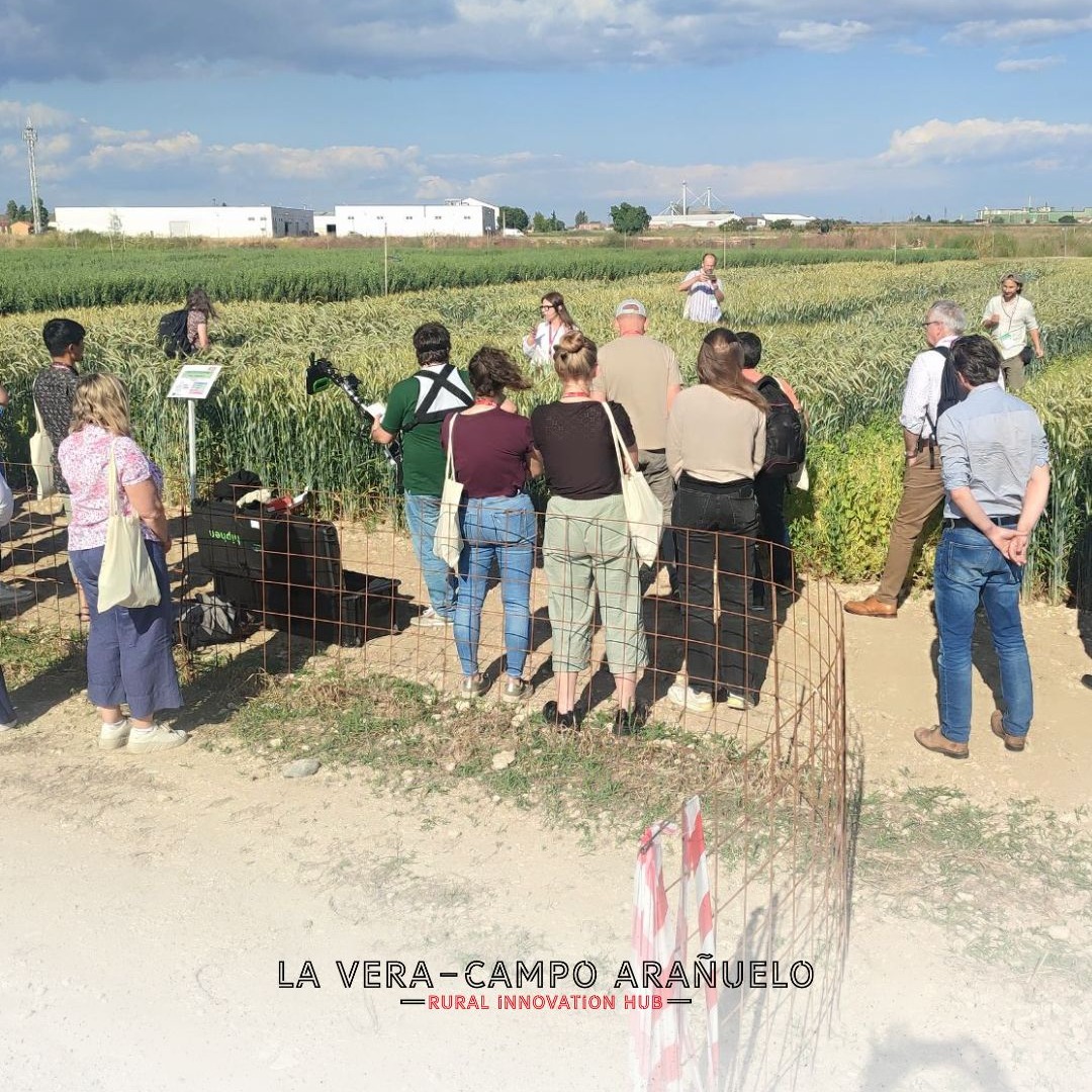 🌱<a href="/ChristianSchob/">Christian Schöb</a> ha participado en el simposio “Agrobiodiversity along the value chain”, organizado por @H2020cropdiva y <a href="/LegendaryEU24/">Legendary Project</a>

💬 En su intervención, destacó el trabajo impulsado desde LVCA Hub, para promover la agrobiodiversidad como motor de innovación en el sector.