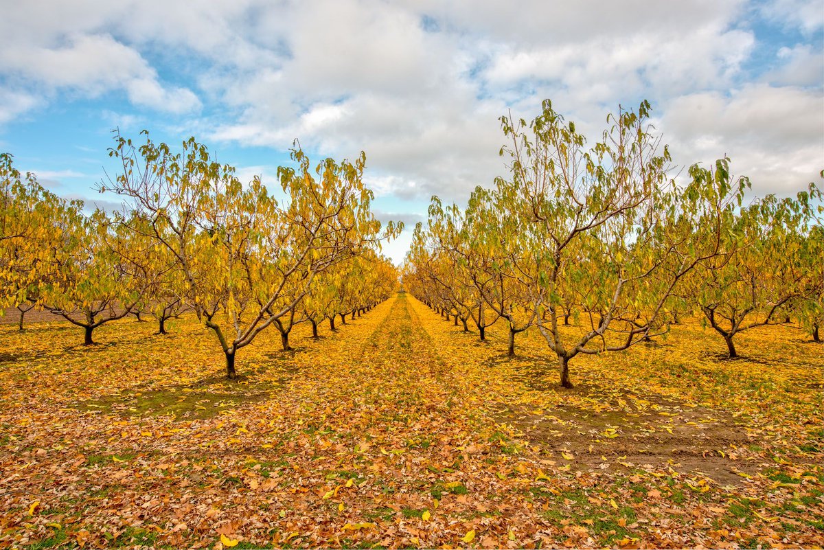 Looking for something to do with your family on the weekend? 
Check out this site. It gives you a list of all the farms/ places you can go with your family and explore new things, food, events etc. 

 buff.ly/PB3qw3S 

#cffoont #farmersfeedcitites #agritourism #ontario