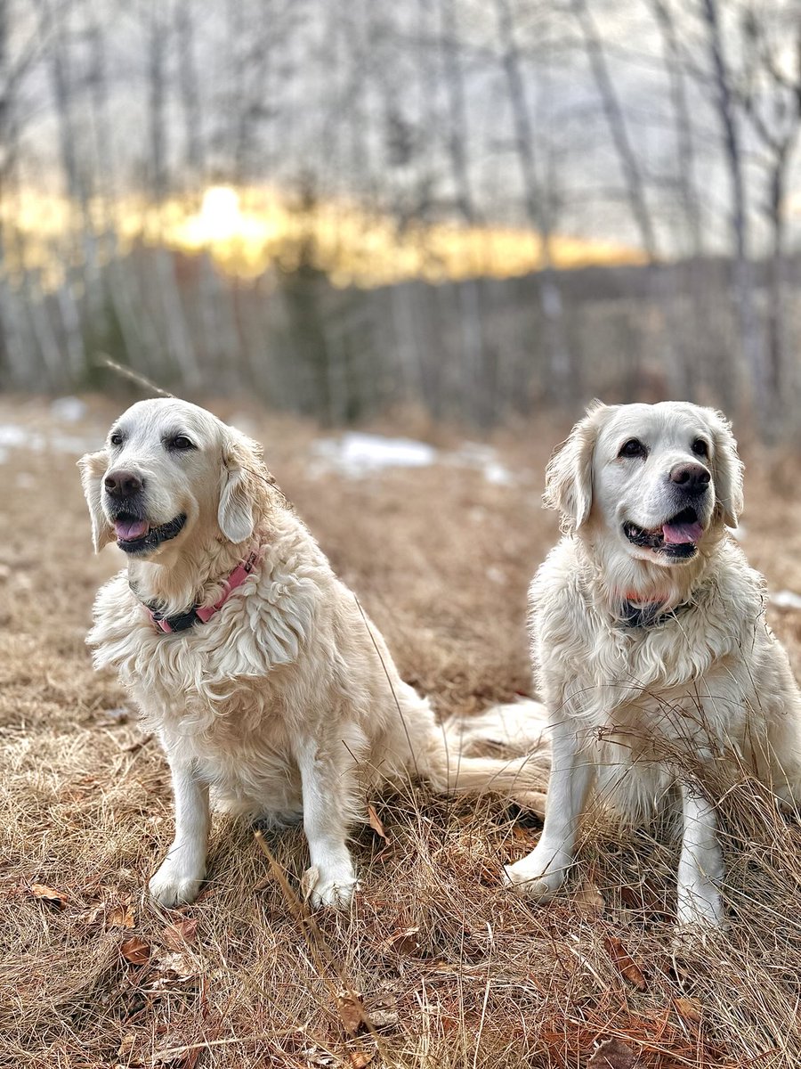 Good morning NorthernTails Nation!  Have a great Friday!