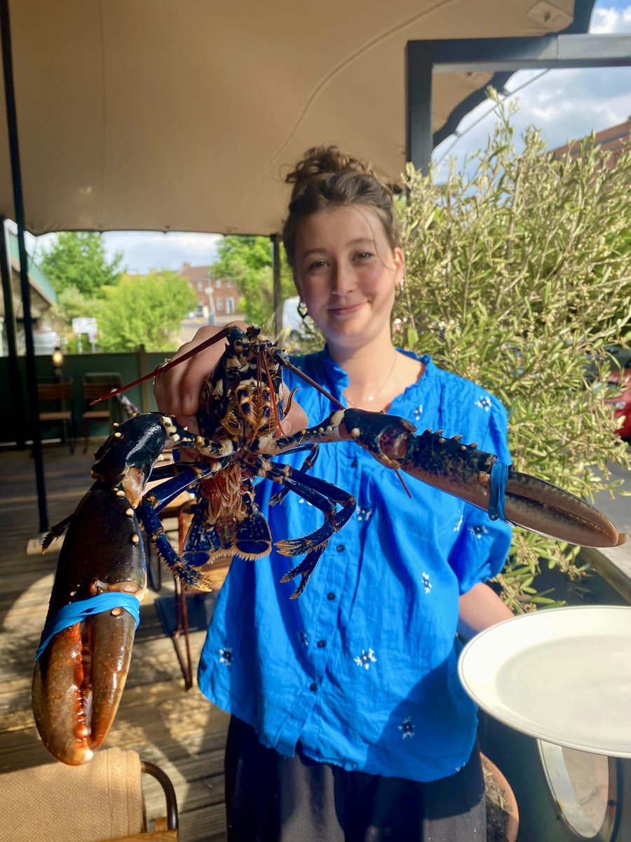 noahsbristol's tweet photo. First native lobster of the season from Weymouth Bay! 🦞 The perfect way to kickstart a bank holiday 🥂
#lobsterseason #fishandchips #lobster #nativelobster https://t.co/VjTwUuZjF0