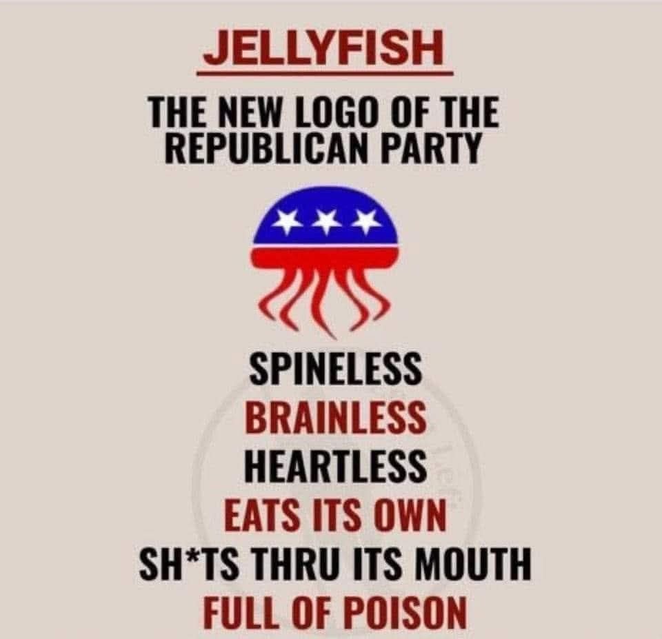 tommyboy0690's tweet image. 