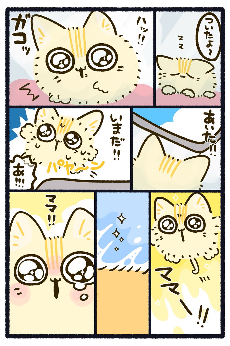 capin_mfmf's tweet photo. 漫画「きゃぴもふ」
第1話「ママはウソをつかない」
p10

#保護猫 #保護犬 #動物愛護 #きゃぴもふ

#漫画が読めるハッシュタグ
#マンガが読めるハッシュタグ https://t.co/0hfCQbzDne