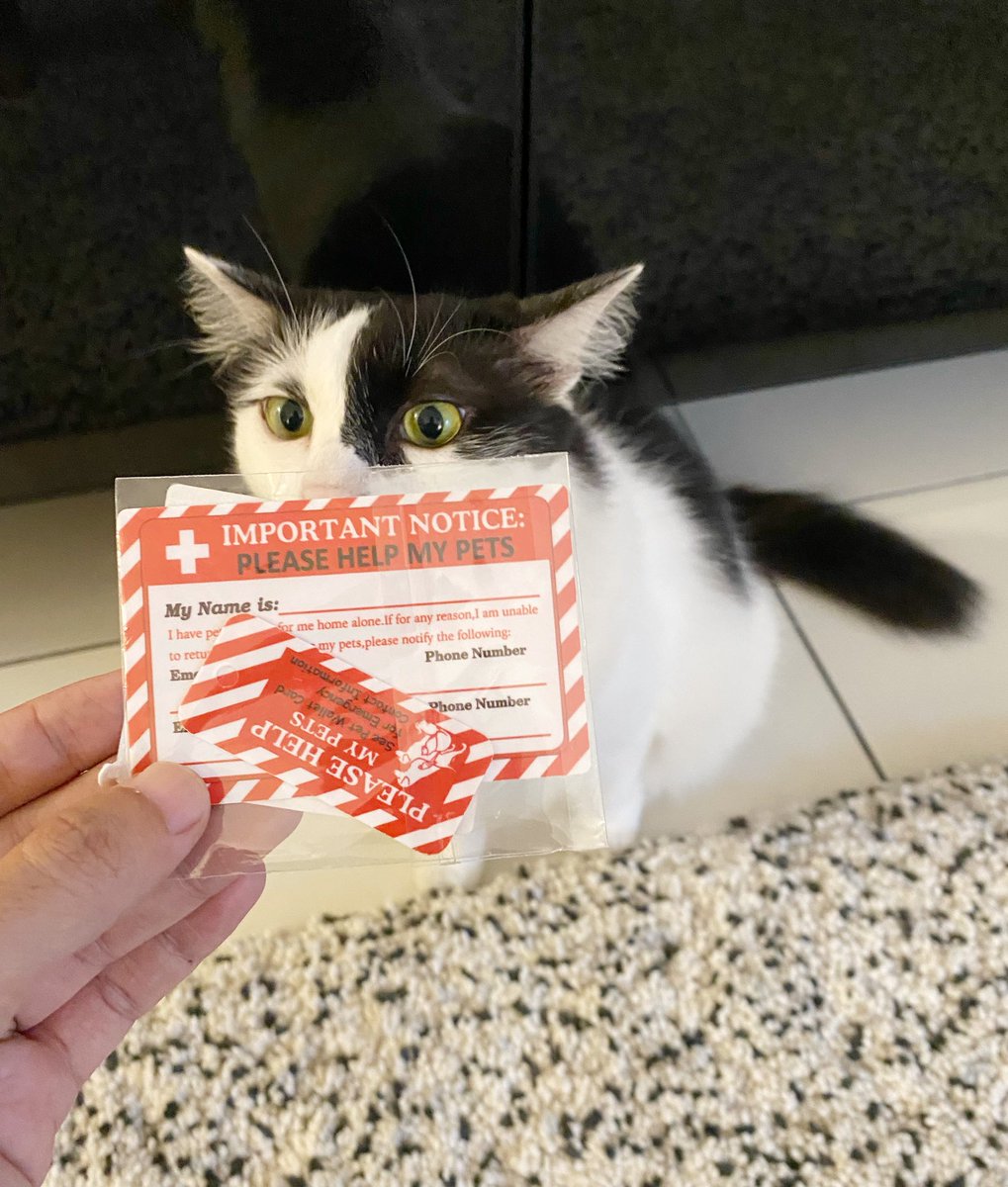 frdsh_'s tweet photo. The safety of my babies is of the utmost importance. 
1. Sticker emergency tampal dekat setiap pintu rumah.
2. Emergency card dalam wallet in case aku accident masa rempit pergi/balik keje. https://t.co/NXXOXz7Pfx