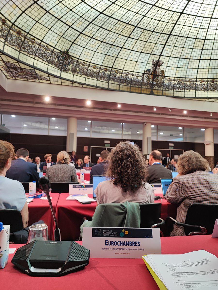 At the 39th #GasForum, Eurochambres called for urgent action to boost EU #energy security &amp; competitiveness:

🔹 Expand renewables &amp; infrastructure
🔹 Diversify supply sources
🔹 Strengthen EU coordination
Affordable, secure energy is vital for #Business
➡️bit.ly/Sustainability…