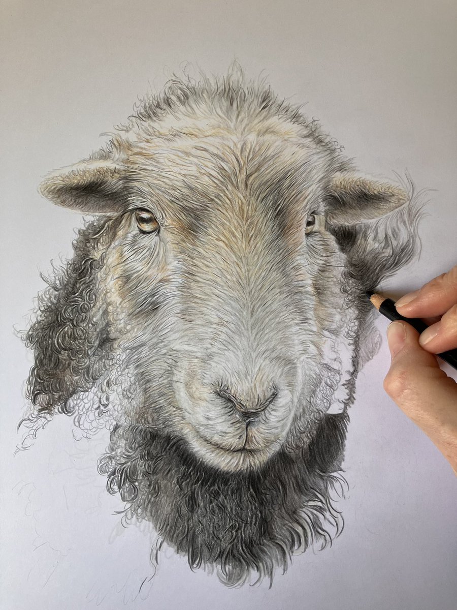 Lisa Wellwood Artist tweet media