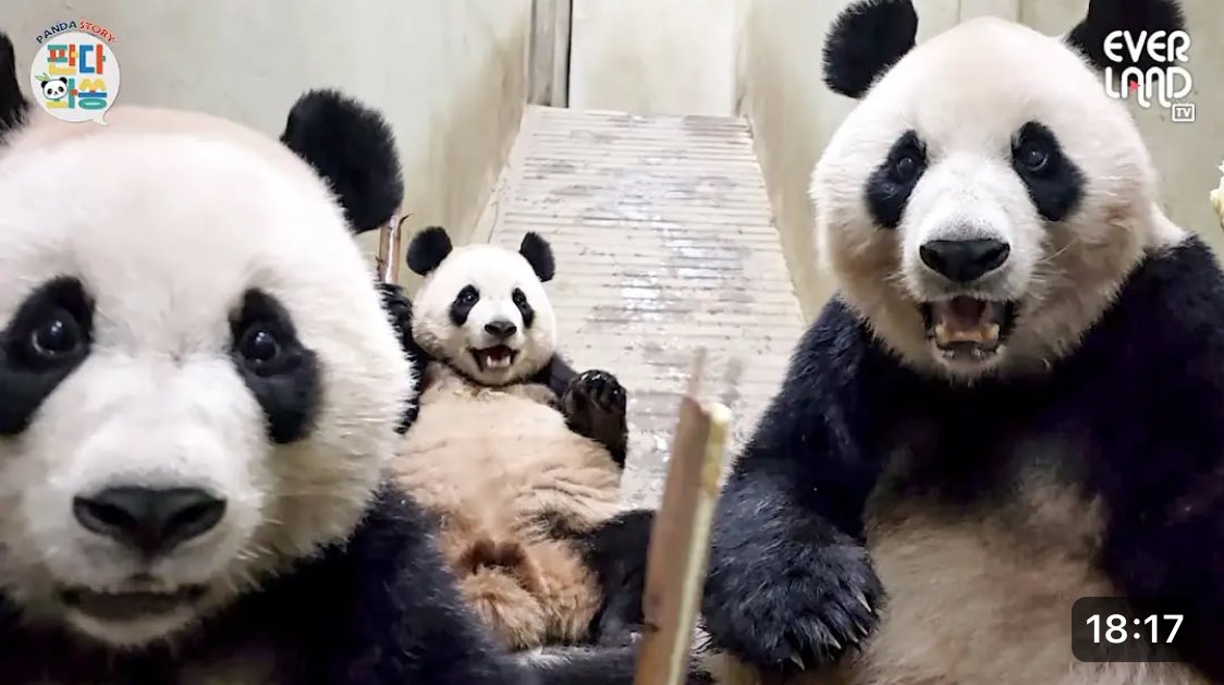 정신이 들어유?
이제 죽순 줘유