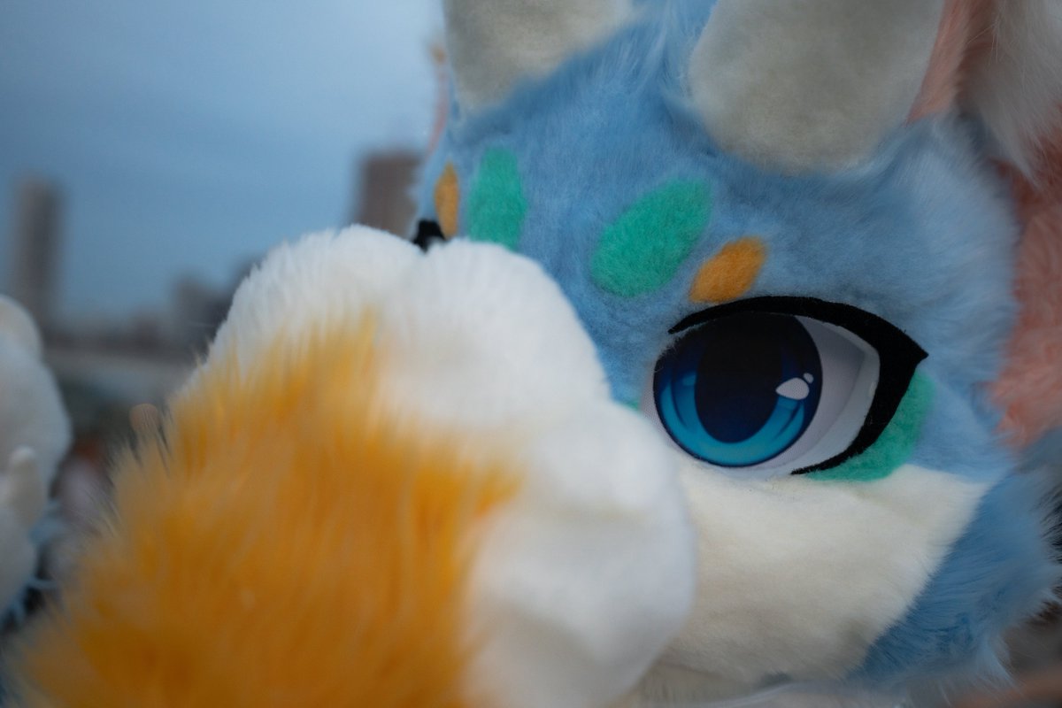 等一下，不要说了
#FursuitFriday