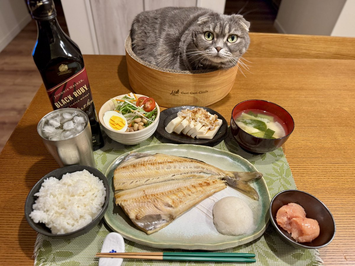 ndTu67XYaawnA2U's tweet photo. ホッケの一夜干しと猫達
Lightly dried Atka mackerel &amp; Cats
#猫 #スコティッシュフォールド #ホッケの一夜干し #ジョニーウォーカーブラックルビー #ハイボール
#cat #scottishfold #lightlydriedatkamackerel #johnniewalkerblackruby #highball https://t.co/y5jEQDXHby