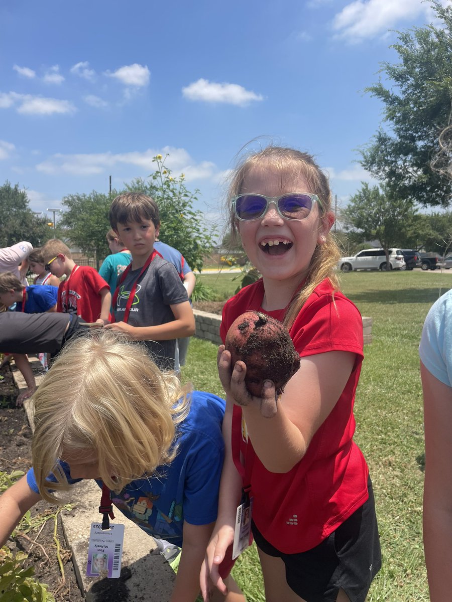 Kara Wolf (@mrswolfrtgg) on Twitter photo Students are ready for a potato party <a href="/SwenkeCFISD/">SwenkeCFISD</a> today! Thank you <a href="/PowerUpCafe/">Cy-Fair Nutrition</a> for another amazing year of helping us put organic, student-grown vegetables safely into their bellies! <a href="/PowerUpEmmy/">Emmy Durand, MPH, RD, SNS</a> <a href="/readygrowgarden/">Ready to Grow Garden</a> <a href="/CyFairISD/">Cypress-Fairbanks ISD</a> <a href="/CFISDScience/">CFISD Science</a> #harvest #organic Students are ready for a potato party <a href="/SwenkeCFISD/">SwenkeCFISD</a> today! Thank you <a href="/PowerUpCafe/">Cy-Fair Nutrition</a> for another amazing year of helping us put organic, student-grown vegetables safely into their bellies! <a href="/PowerUpEmmy/">Emmy Durand, MPH, RD, SNS</a> <a href="/readygrowgarden/">Ready to Grow Garden</a> <a href="/CyFairISD/">Cypress-Fairbanks ISD</a> <a href="/CFISDScience/">CFISD Science</a> #harvest #organic