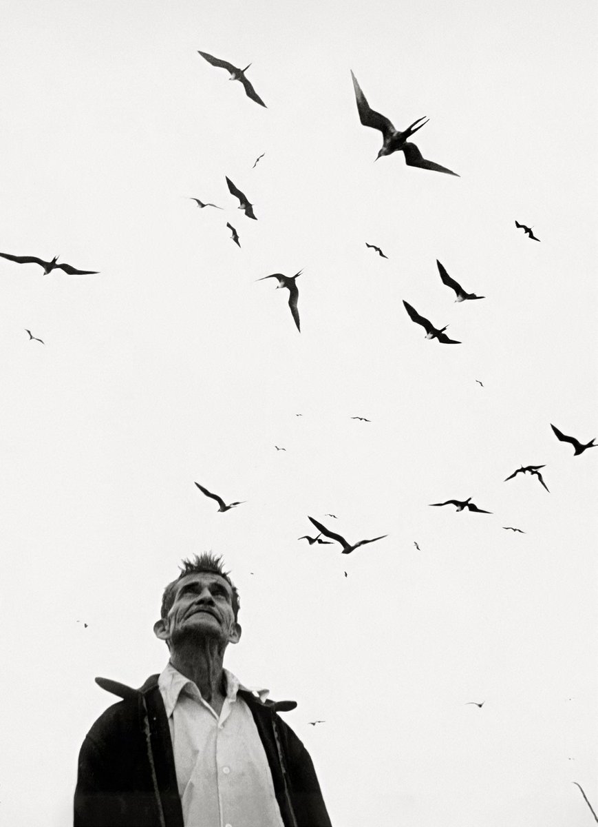 La fotógrafa mexicana Graciela Iturbide recibe el Premio Princesa de Asturias de las Artes 🏆

La autora lleva transformando durante más de 50 años lo cotidiano en imágenes de inquietante belleza, creando una tensión que oscila entre lo real a lo onírico y de la vida a la muerte.