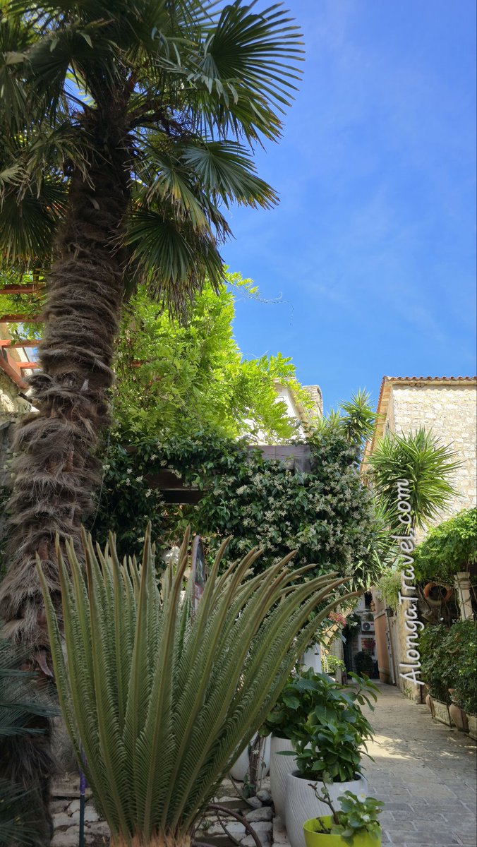 When I see people state that the old town of Budva is overrated, I get a bit confused. Do you see many medieval towns with pretty scenes back home ? 🤔🙂 Lucky you, in that case! Me? I'm still very happy after 6 weeks! 😍