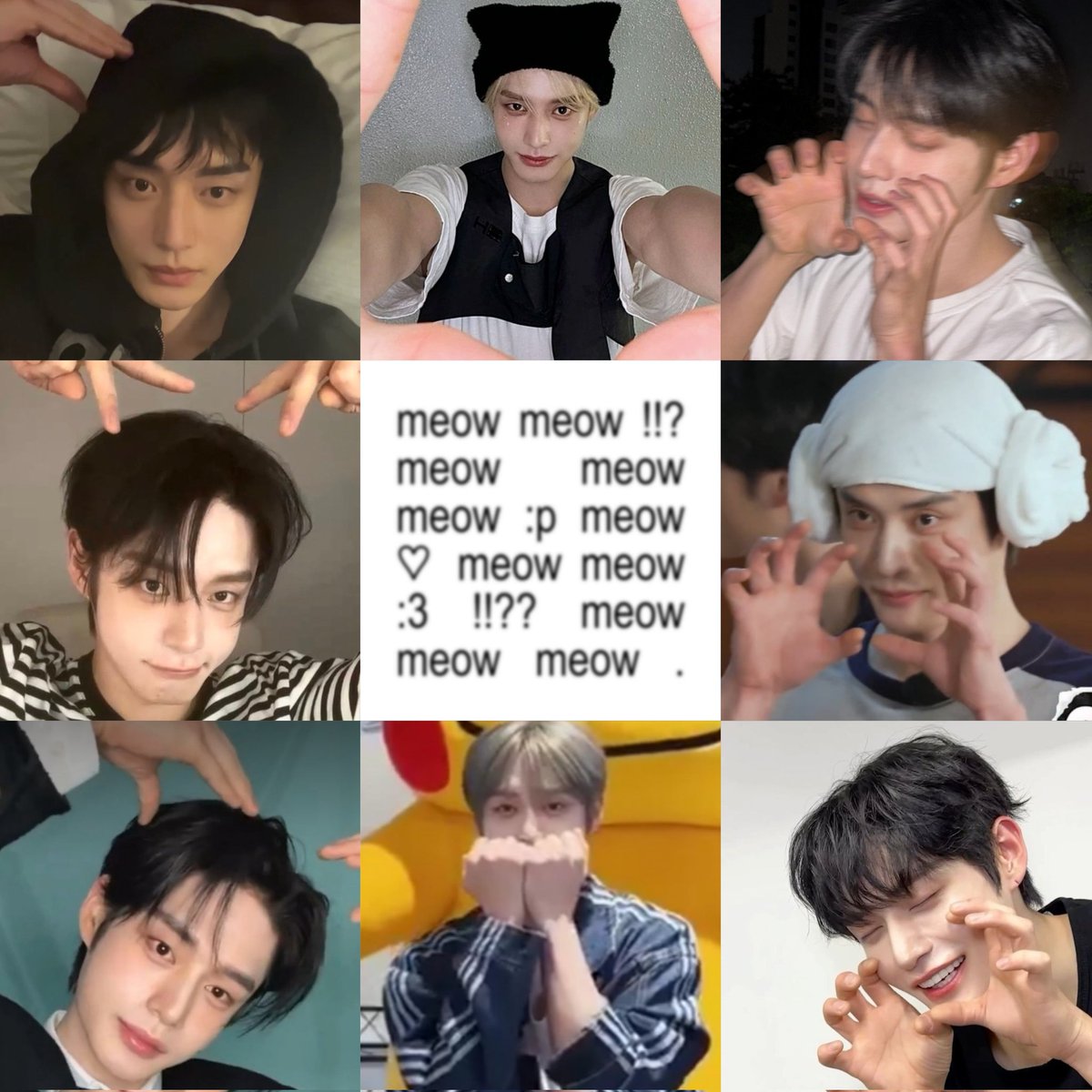 🐈‍⬛: ᵐᵉᵒʷ