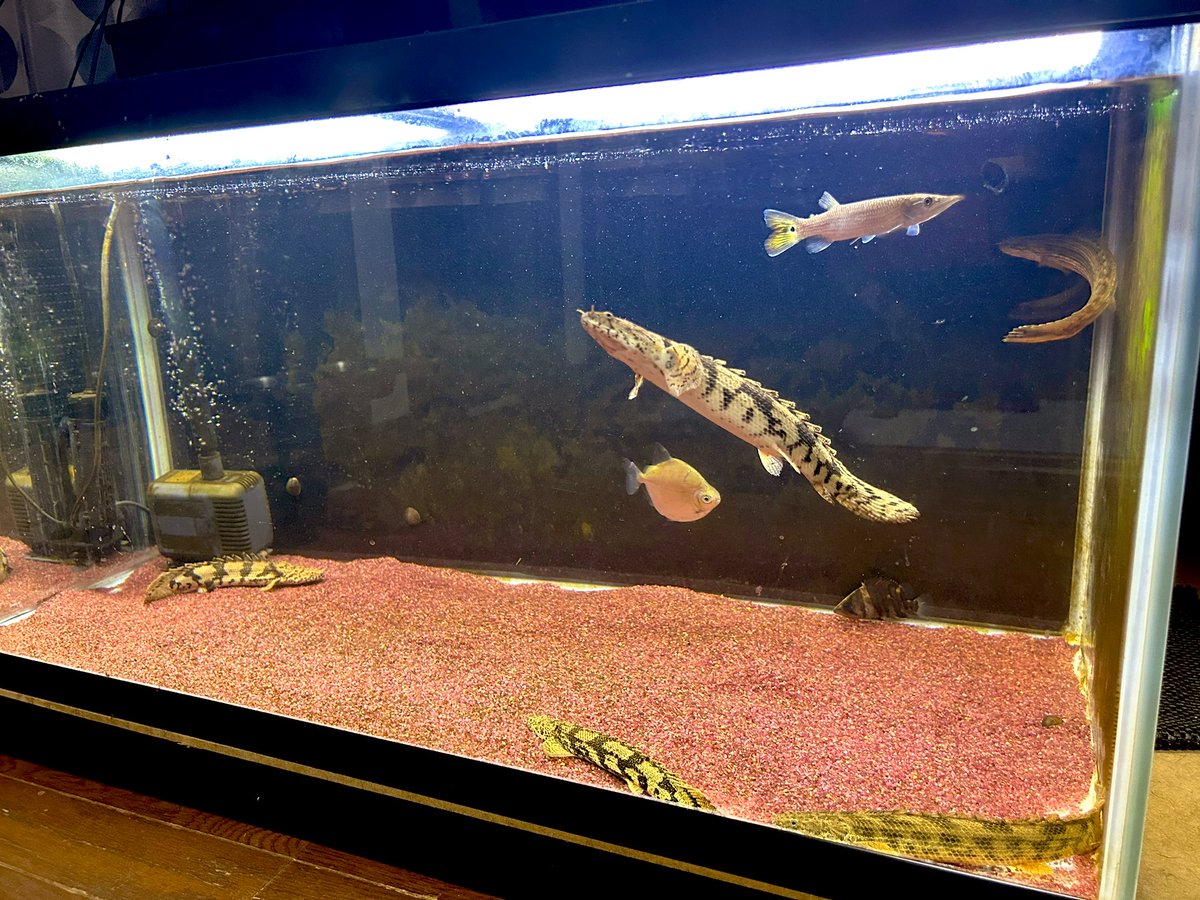 水パキってるわ