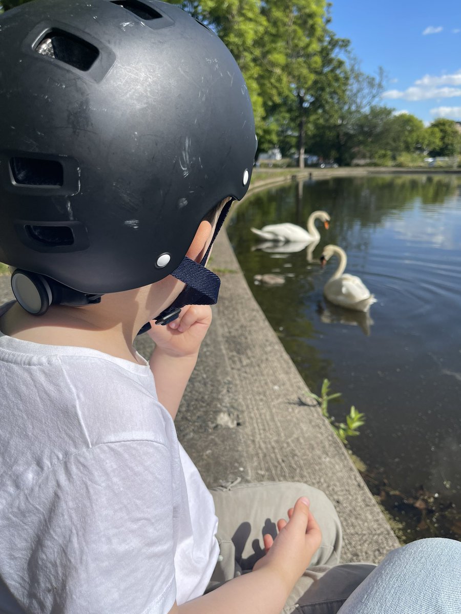 Euan Hyslop (@euanhyslop) on Twitter photo We are besotted by mum, dad and baby in Inverleith Park, does the wee cygnet have a name yet <a href="/VicNicSNP/">Cllr Vicky Nicolson</a>? We are besotted by mum, dad and baby in Inverleith Park, does the wee cygnet have a name yet <a href="/VicNicSNP/">Cllr Vicky Nicolson</a>?