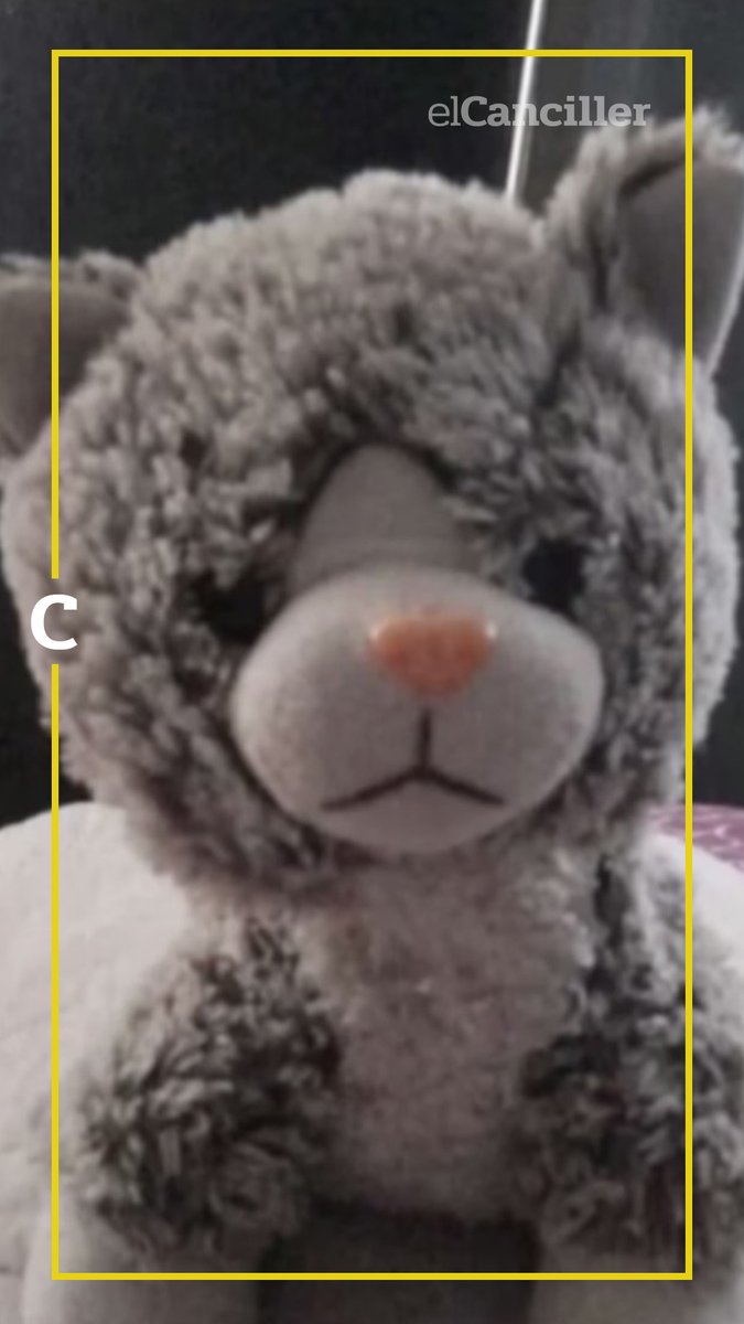 elcancillercom's tweet image. [AHORA] En Mendoza, un chico autista perdió su peluche de apego y la pareja que lo encontró extorsionó a su familia para devolverlo: le cobraron $200.000 bajo la amenaza de "desaparecerlo".