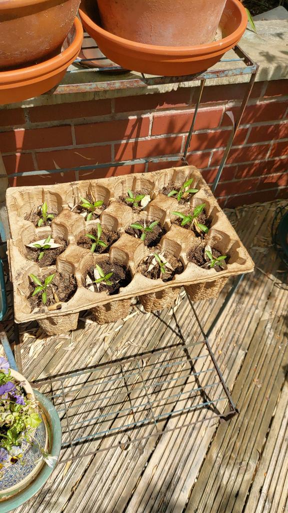 Old Bill tweet media