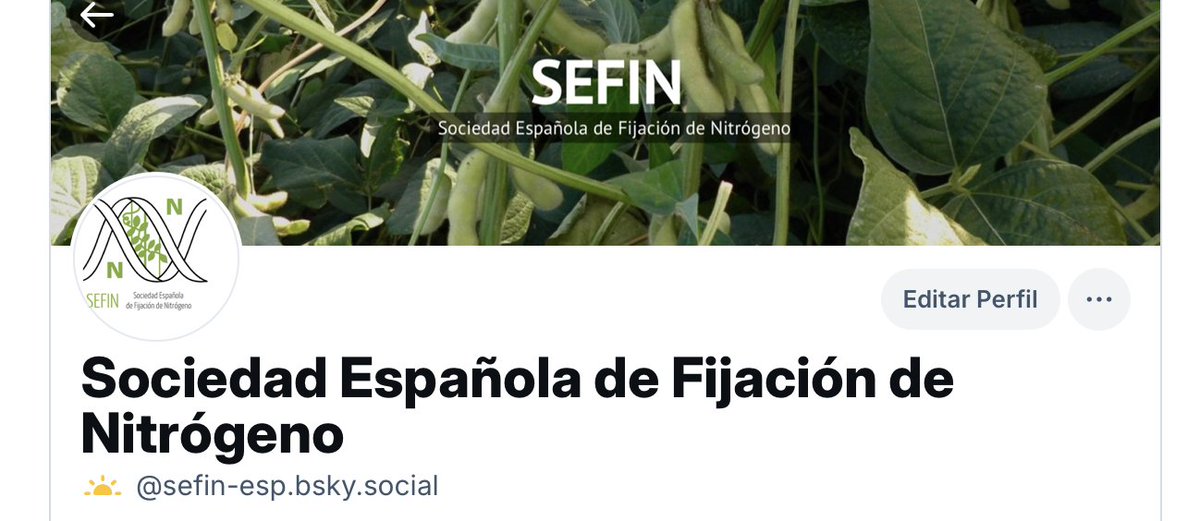 ¡La Sociedad Española de Fijación de Nitrógeno ya está en BlueSky! 🦋🌿🦠🧫 Abrimos la cuenta sefin-esp.bsky.social para compartir noticias relevantes para nuestra comunidad y seguir también en este espacio las novedades de nuestros socios y grupos ¡Os invitamos a seguirnos! 👋