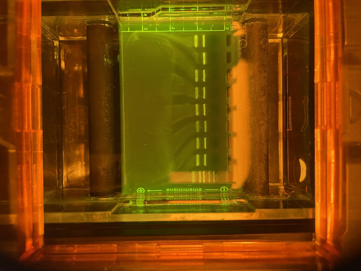 CCgirt's tweet image. Jersey Shore STEM Ecosystem & @wearetrschools hosted 17 NJ teachers for biotech PD today thanks to @MiniOneSystem! Whitney Hagins gave us tips and tricks for great gels and engaged learning.