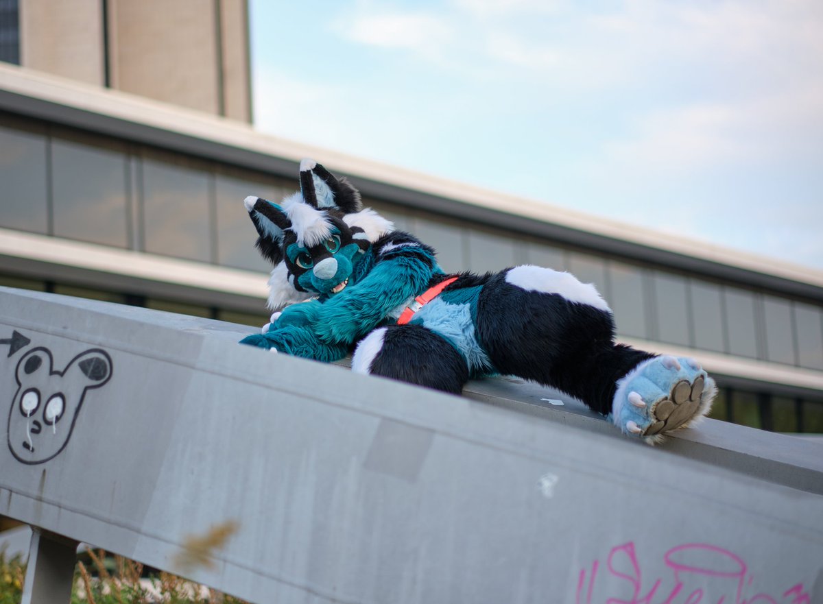 Dargo the Dragon (@dargothedragon_) on Twitter photo Can someone pls help me get my dog down!? He's stuck up there π₯Ί
π· <a href="/ShizahLombax/">Shizah π©πͺ</a> Can someone pls help me get my dog down!? He's stuck up there π₯Ί
π· <a href="/ShizahLombax/">Shizah π©πͺ</a>